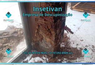 Insetivan Serviço Dedetização